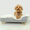 Dog sitting on Omlet Topology dog bed with sheepskin topper and Gold hairpin feet