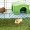 The raised guinea pig platforms.