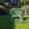 Omlet Zippi guinea pig playpen with Zippi platforms