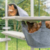 Cats enjoying the Omlet Freestyle outdoor cat tree system, one is sleeping in the hammock and the other is in the den
