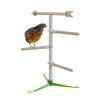 Chicken in the free standing perch system by Omlet