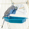 A budgie admiring itself in the mirror.