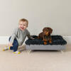 Dachshund in the washable dog bed next to laughing toddler