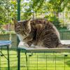 Cat sitting on white waterproof cat shelf in outdoor catio