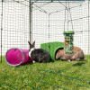 Zippi rabbit shelter with rabbit zippi platform and caddi rabbit treat holder