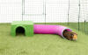 Guinea pig in green Zippi shelter and play tunnel