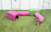 Rabbit climbing in Zippi playtunnel