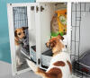 The Fido Studio mirror lets your dogs reflect on their day!