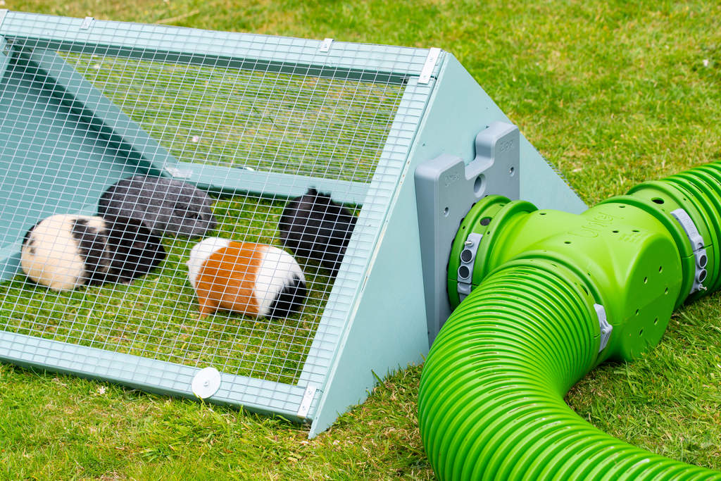 Zippi Tunnel T Section Zippi Rabbit Tunnel Accessories