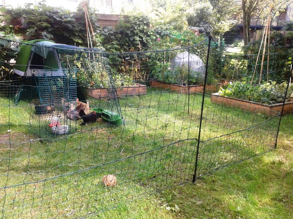 Eglu Go UP Chicken Coop Wheel Set | Chicken Keeping Spares | Chicken ...