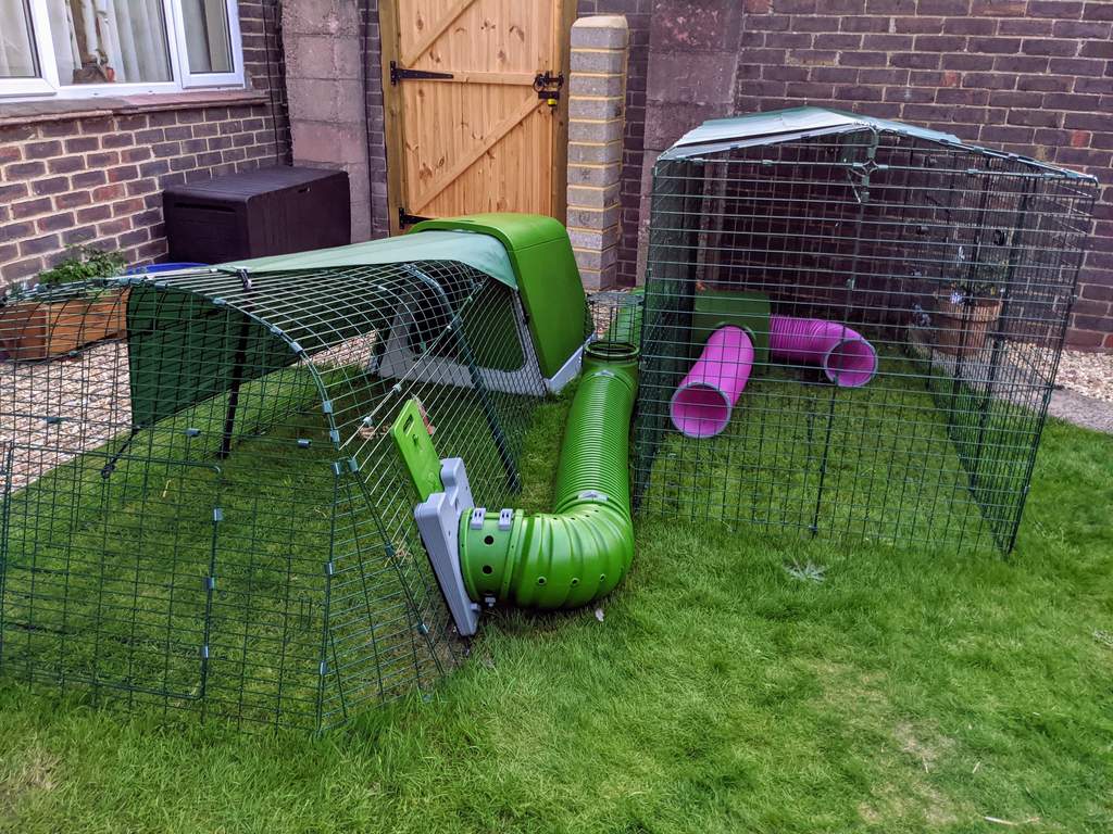 Extension for Zippi Rabbit Run with Roof and Underfloor Mesh Double
