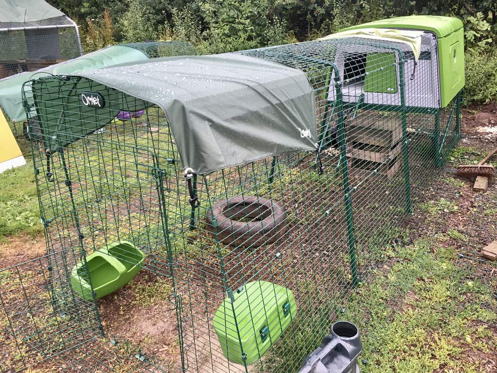 Eglu Cube Mk2 Feeder Green Feeders and Drinkers For Chickens