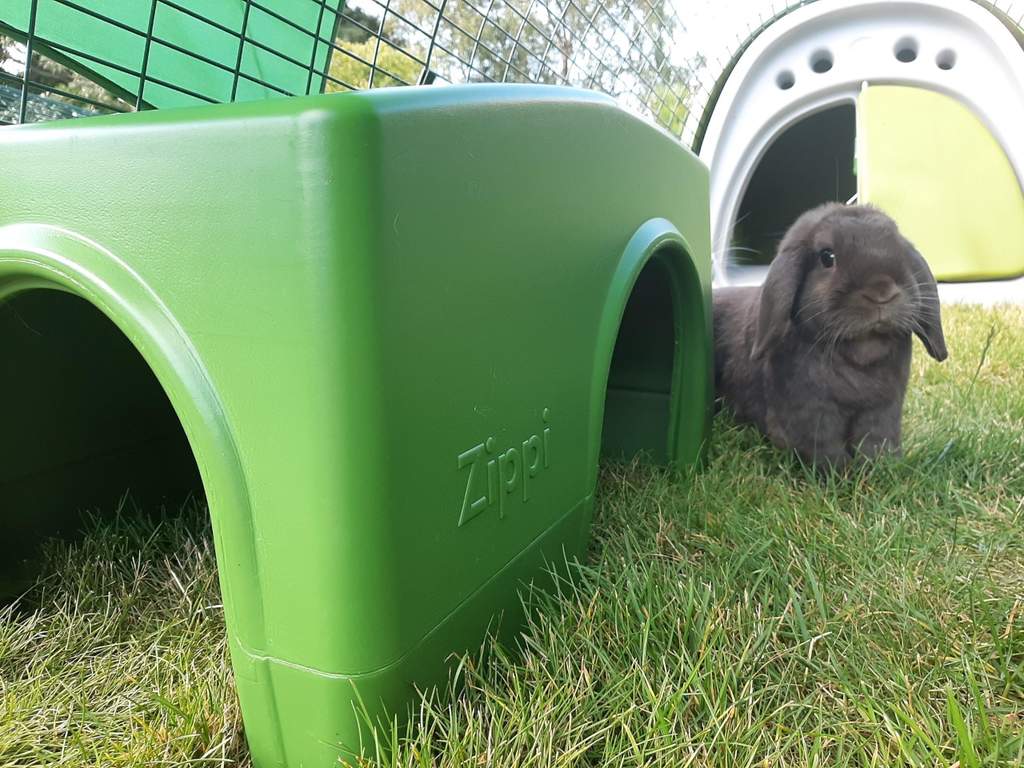 Zippi Rabbit Shelter Green Rabbit Run Accessories Rabbit Hutches