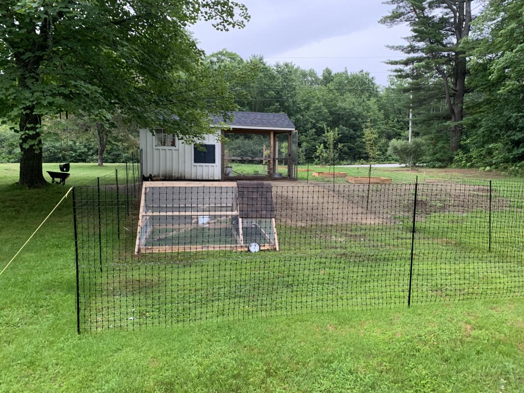 Omlet Chicken Fencing Poultry Netting for Chickens