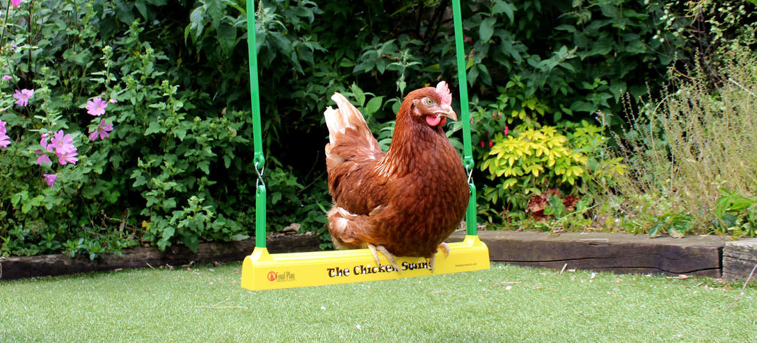 Chicken swing