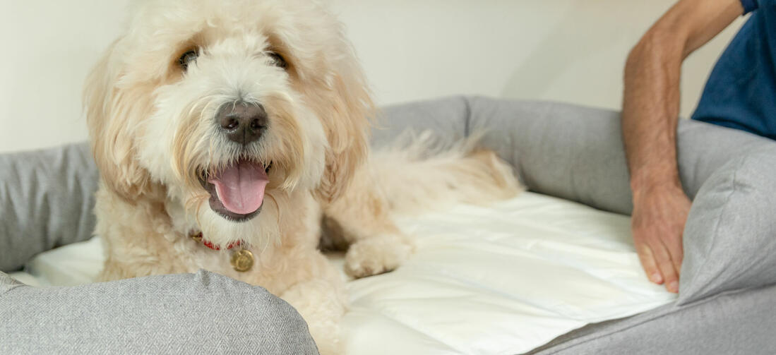 The innovative Cooling Mat fits perfectly tucked into the Bolster Bed, and will keep your pooch cool on hot summer days.