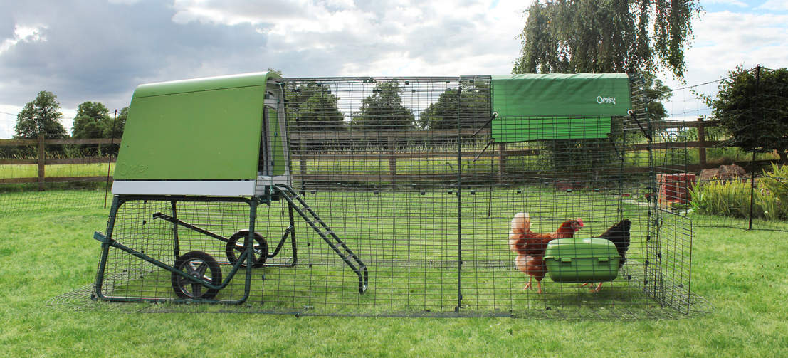 The Eglu Go UP’s heavy duty steel run, in an attractive dark green, protects your hens and blends seamlessly in your garden.