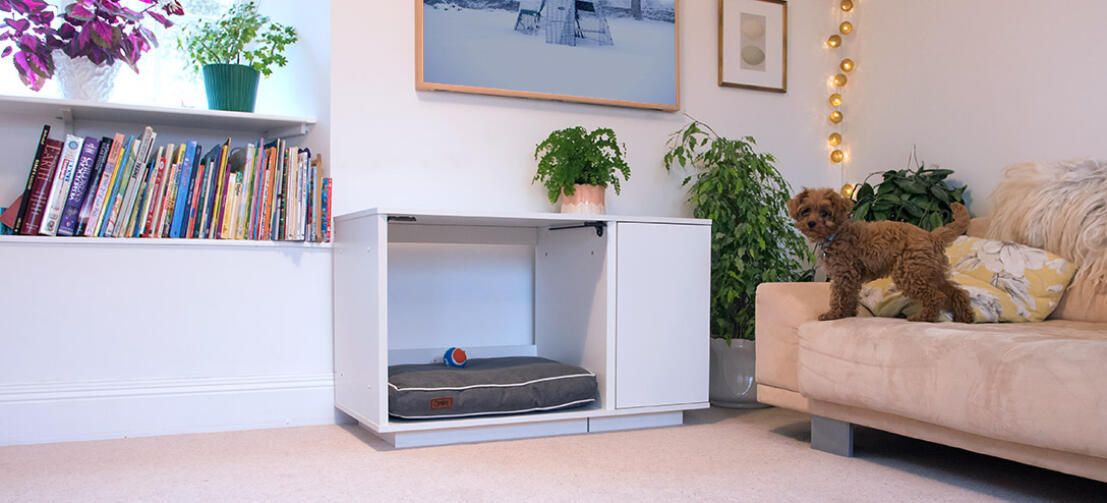 The subtle yet captivating design of the Omlet Fido Nook suits both modern and traditional interiors.