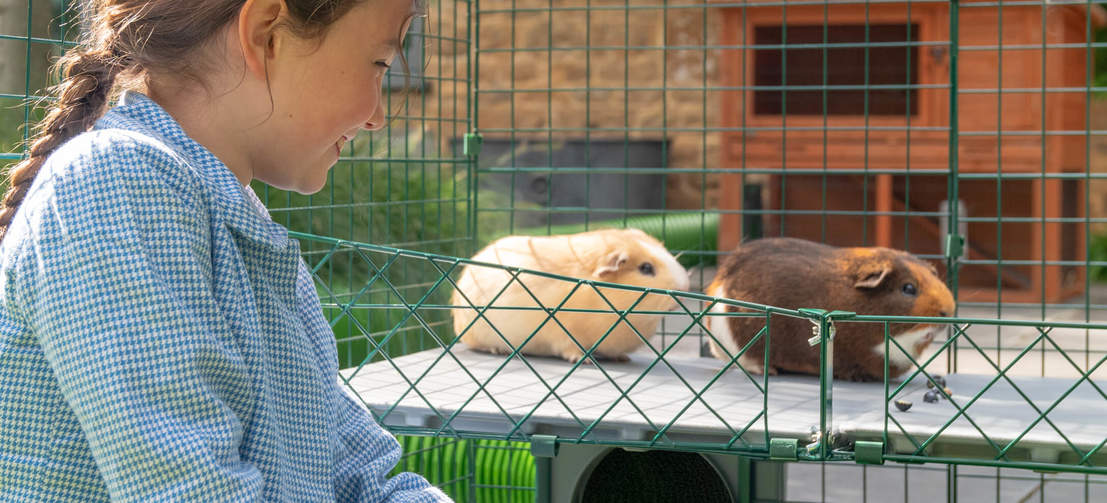 Children will love being able to interact and bond with their pets at eye level.