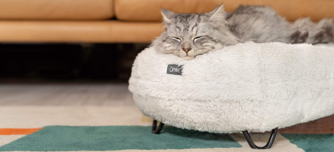Cat sleeping on a snowball white soft luxury maya donut cat bed with black hairpin metal feet