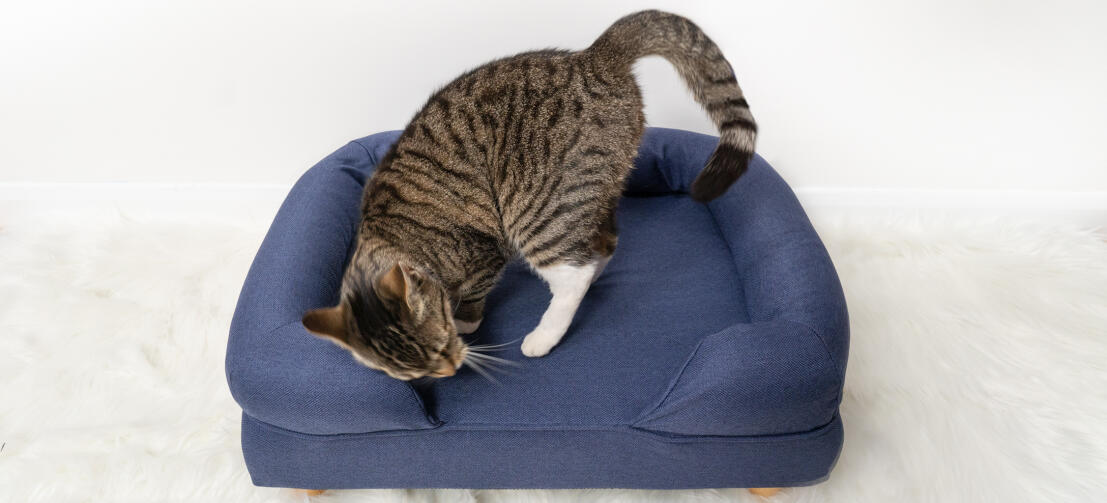 Memory Foam Bolster Cat Beds Australia Omlet
