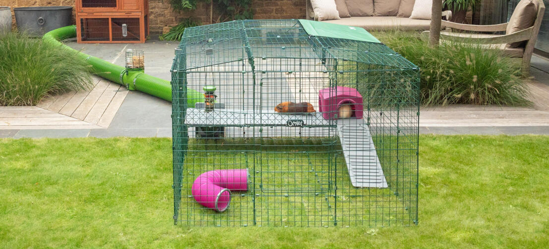 Further accessorise your guinea pig’s run with Zippi Shelters, Play Tunnels and Caddis placed above and below the platforms.