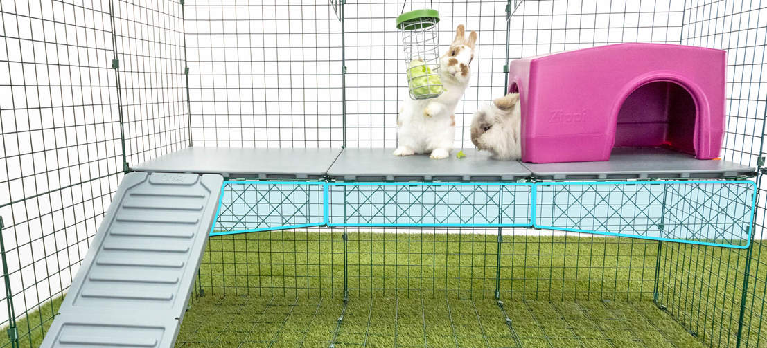 Zippi Platforms come with strong wire supports to ensure they don’t flex or bend when your rabbits are on them.