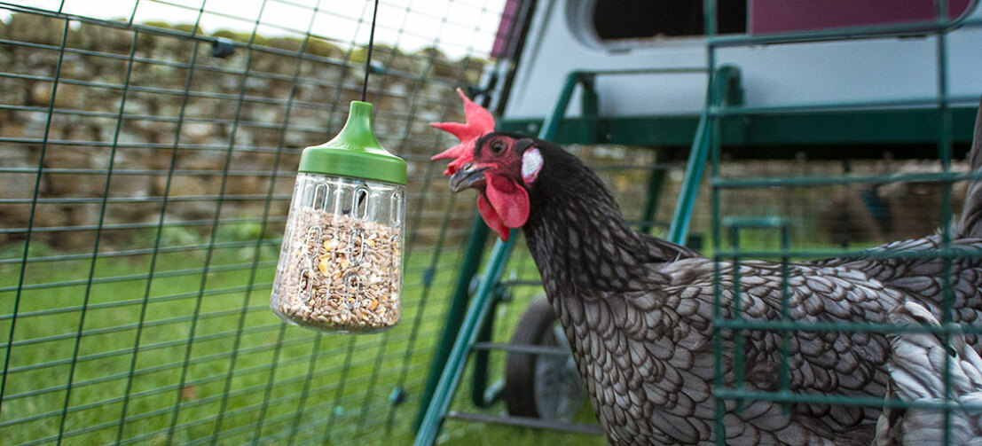 With the Pendant pecking toy, you can make your chickens' run even more fun.