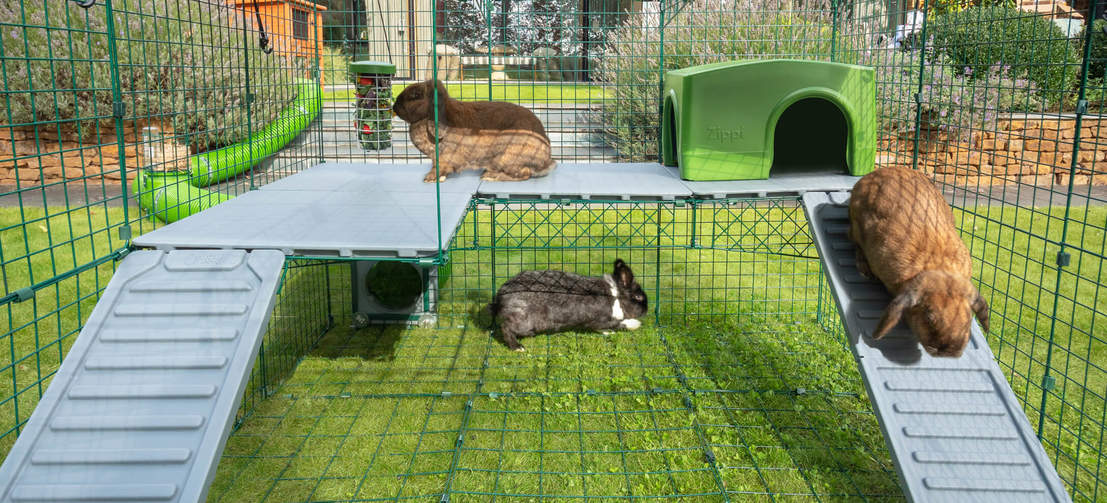 Give your rabbits even more space to play with Zippi Platforms, designed to securely fit to your double height Zippi Run