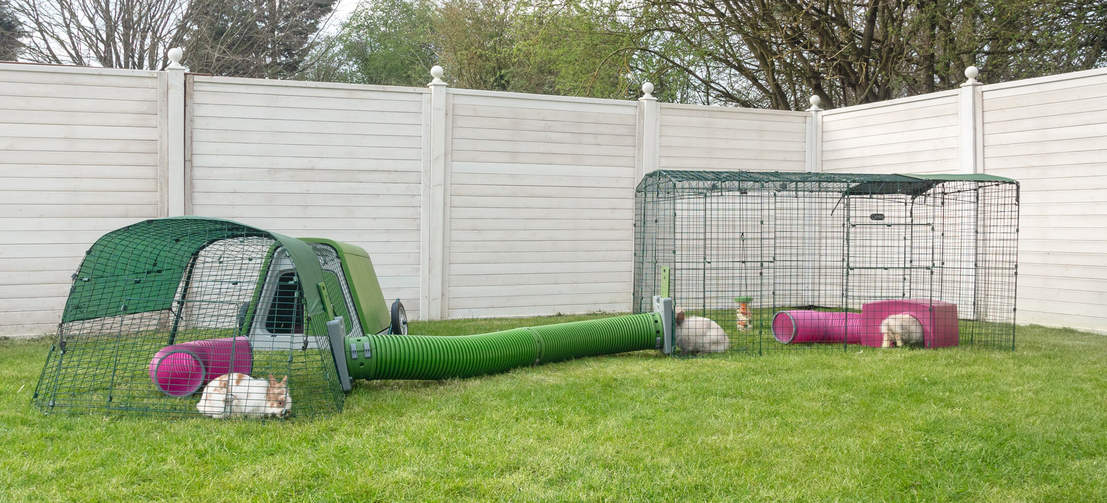 You can extend both the width and length of your Zippi Rabbit Run to carry on creating your ultimate rabbit playground!