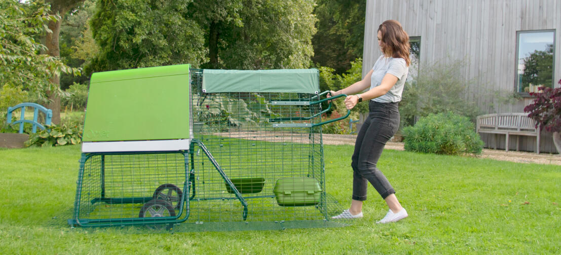 A woman moving an Eglu Go up chicken coop