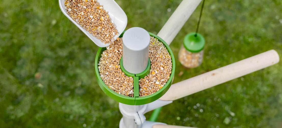 Filling corn to the chicken treat dish accessory for the free standing chicken perch tree