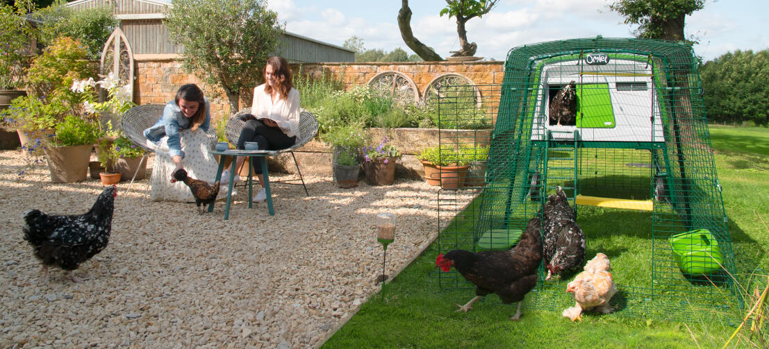 Large Eglu Cube Chicken Coop with Runs Omlet
