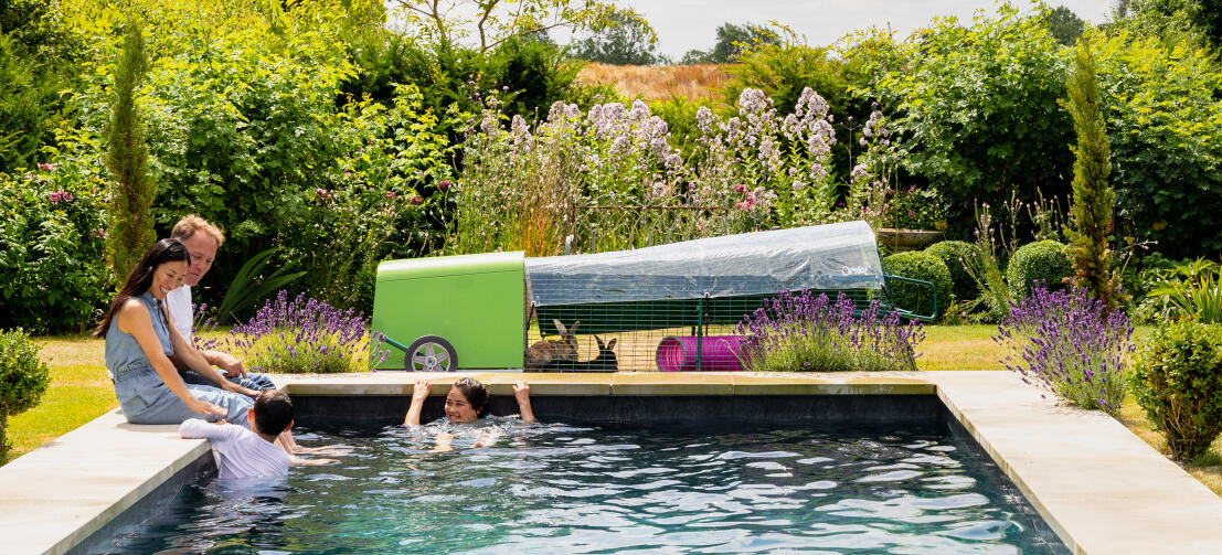 A family playing in outdoor swimming pool in front of their Eglu Go rabbit hutch.