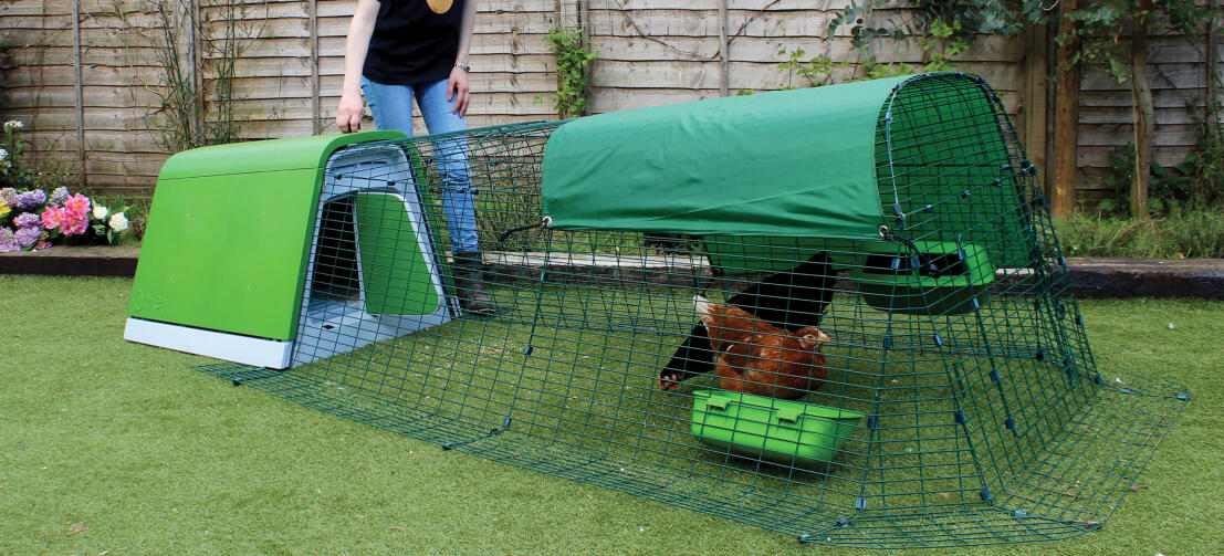 You can open and close the door of the chicken coop using the handle on the top.