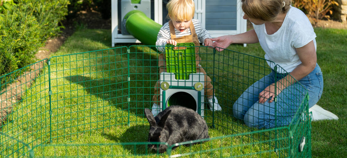 Family playing with their pet rabbit inside a Zippi playpen.