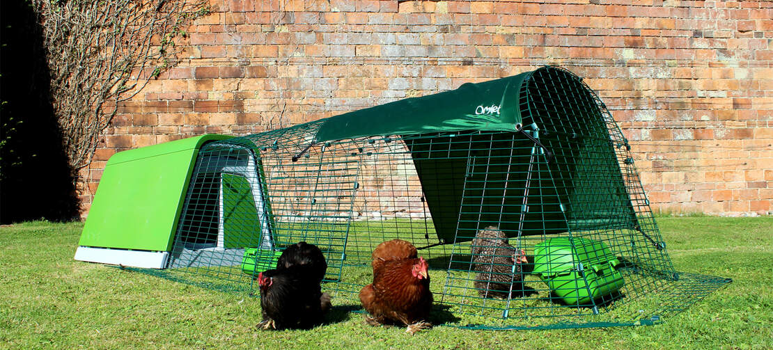 Eglu Go Plastic Chicken Coops Australia Omlet