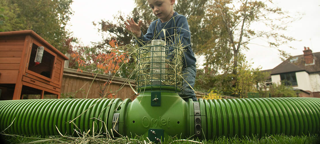 Zippy Rabbit Zippi Rabbit Tunnel System | Omlet