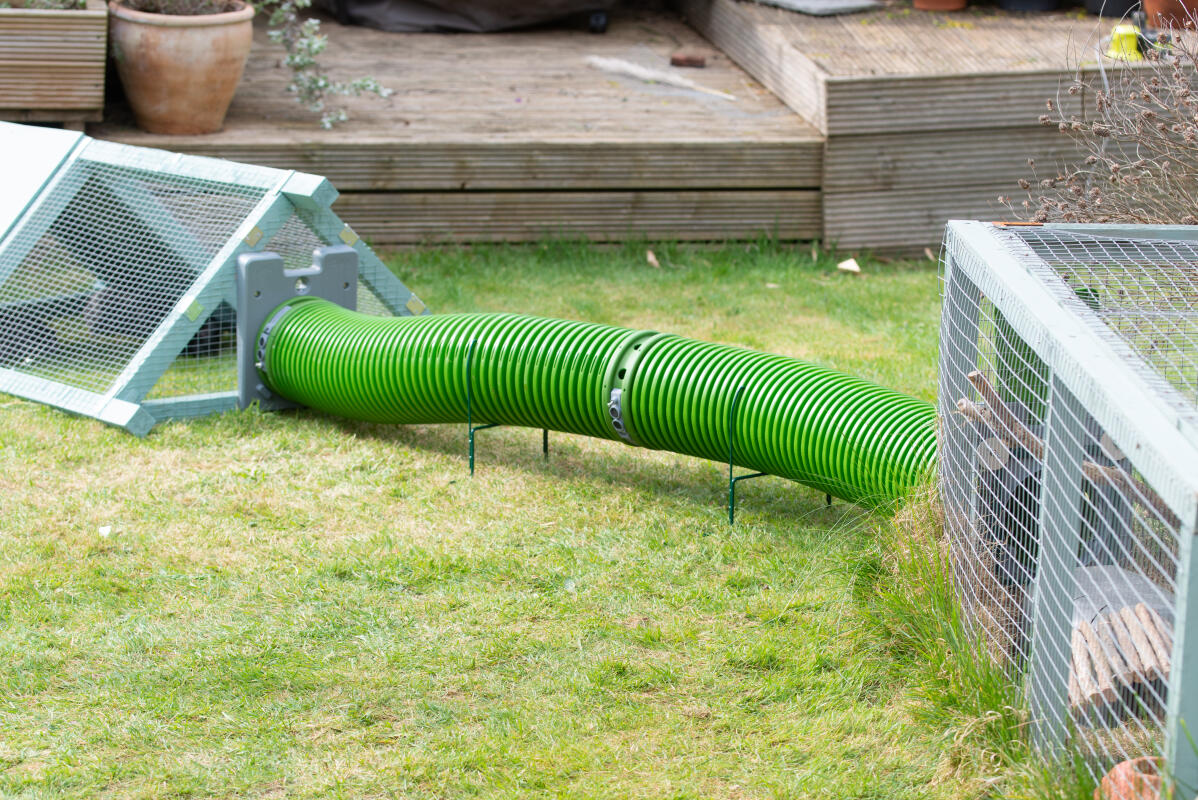 Zippi Guinea Pig Tunnel System | Omlet