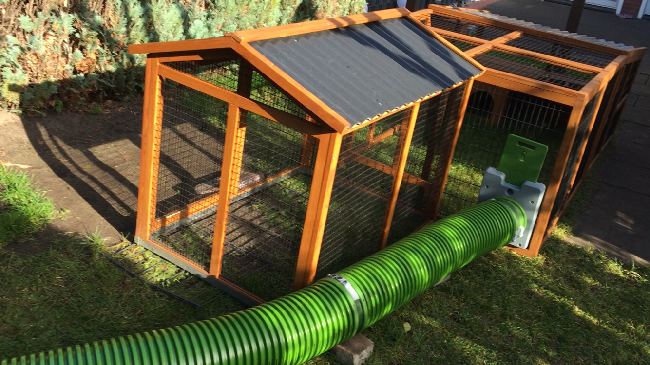 Zippi Guinea Pig Tunnel System | Omlet