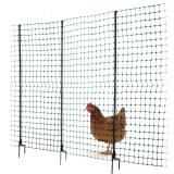 Chicken Fencing