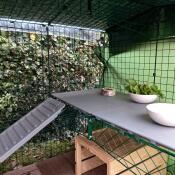 Rabbit platforms in an outdoor rabbit run