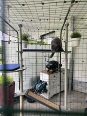 A great playground and a nice place to rest as well😻😻