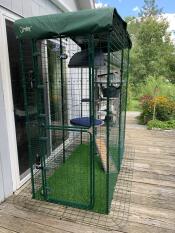 Balcony catio with Freestyle tree