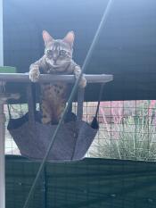 “what’s up out there?”
