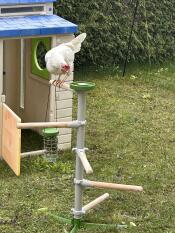 Chicken tree free standing