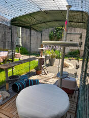 My cats' enclosure