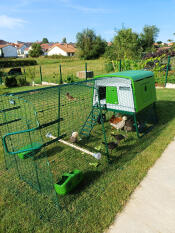 Ideal perch for ornamental hens