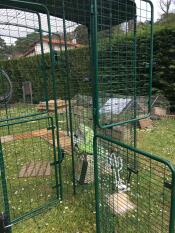 The open door of a walk in run animal run with a cover