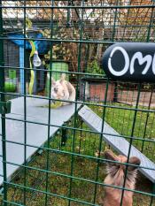 Great attachment for the Zippi run, creating another level for bunnies to explore and shelter under